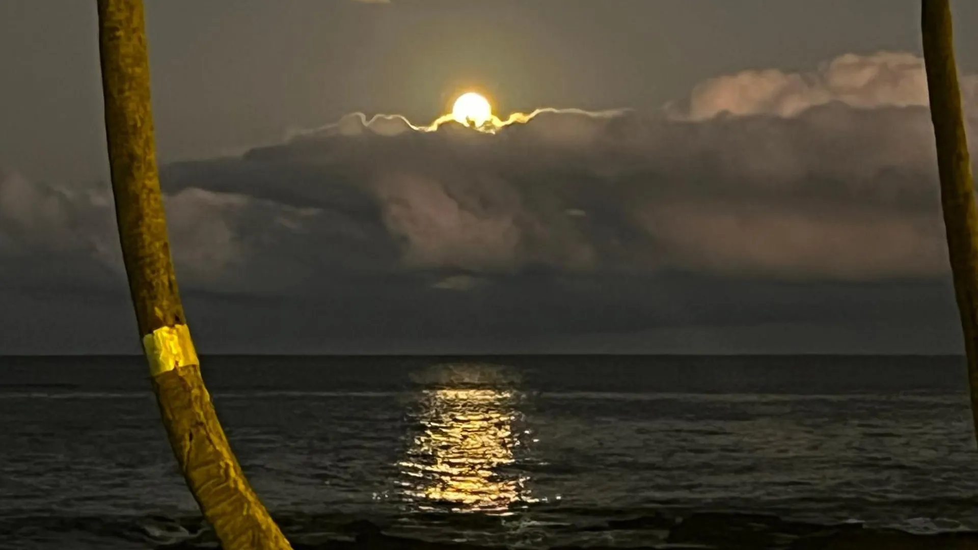 Enjoy Water'S Edge Hale Aparthotel Kailua-Kona 0*,